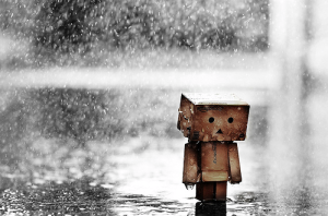amazon box lost in the rain